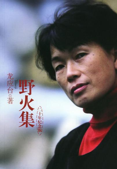 野火集封面