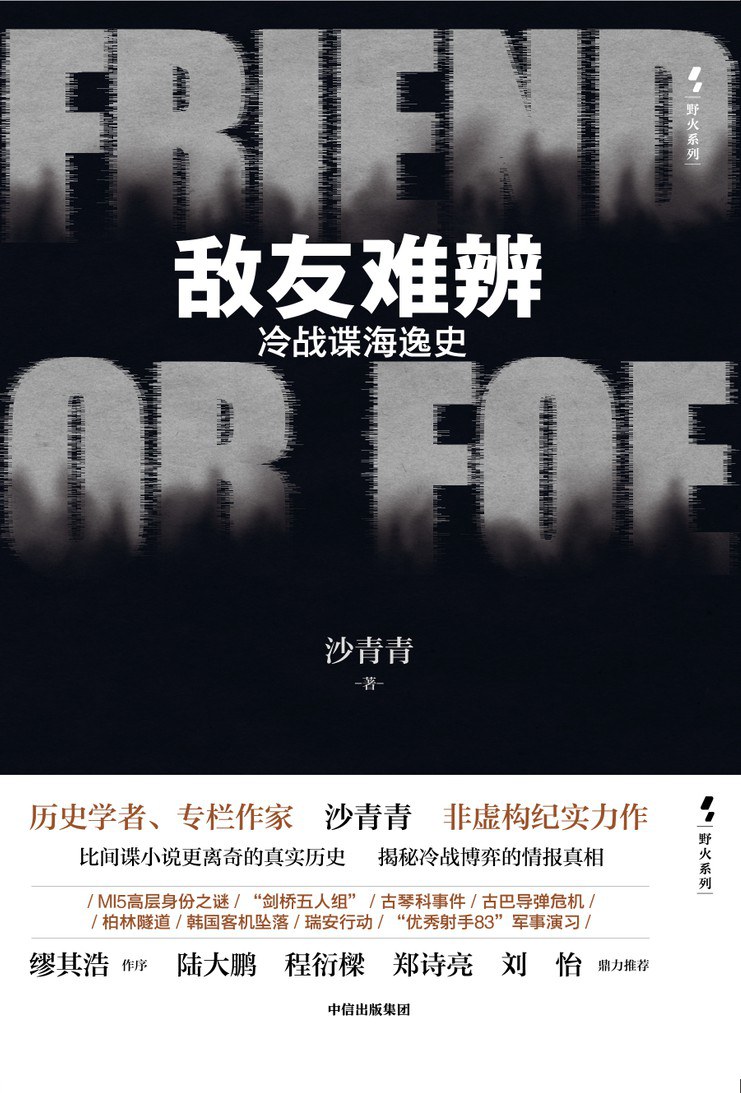 点击放大 敌友难辨:冷战谍海逸史封面