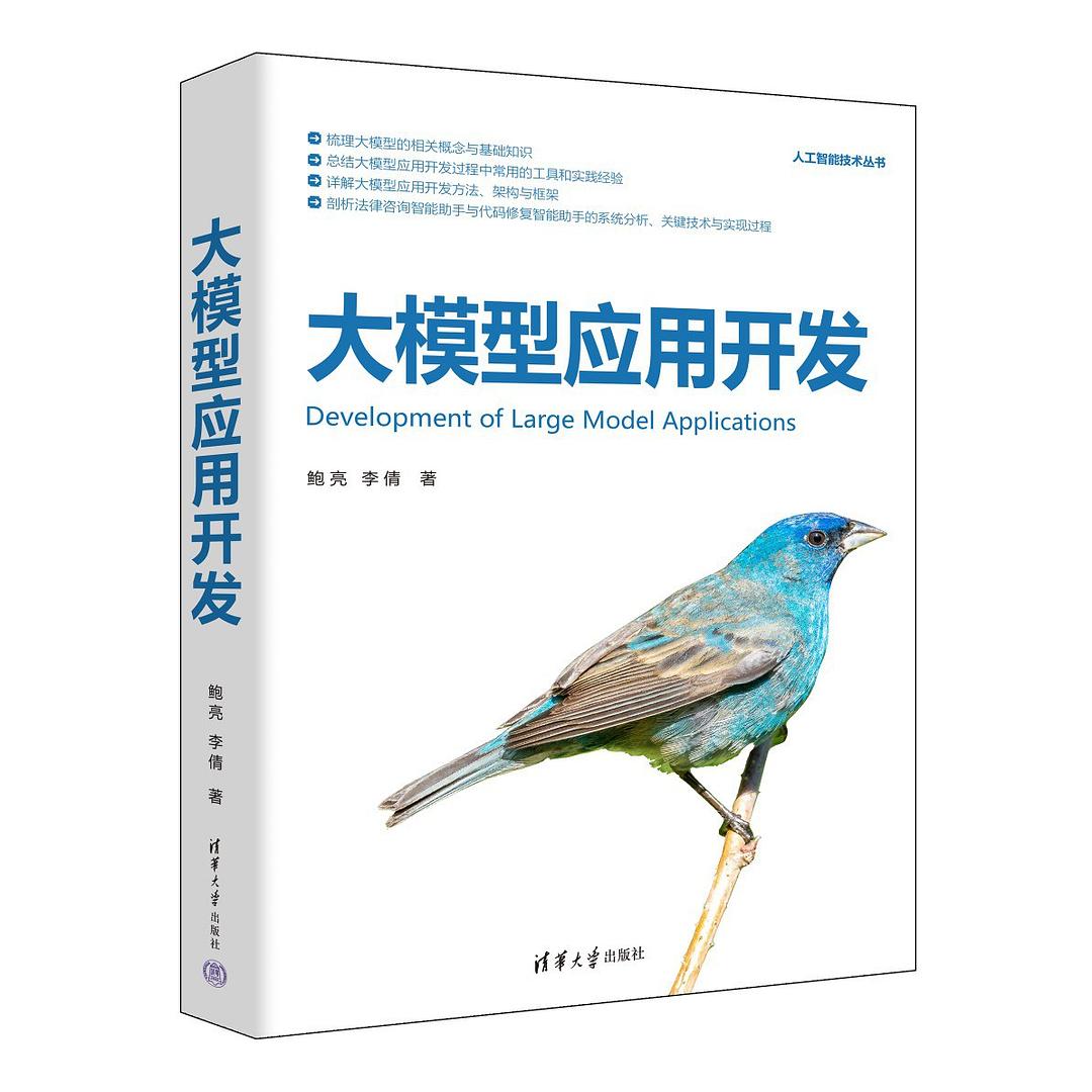 点击放大 大模型应用开发封面