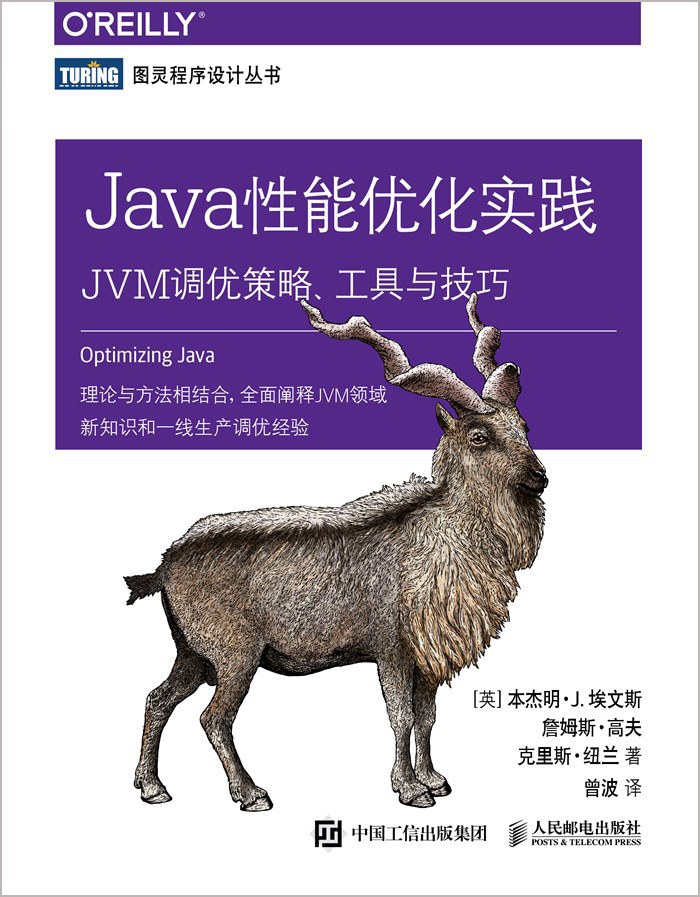 Java性能优化实践：JVM调优策略、工具与技巧封面