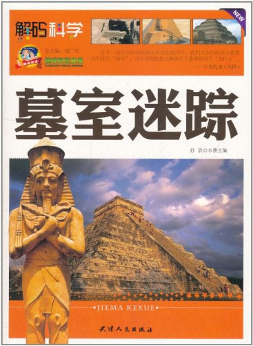 点击放大 墓室迷踪封面