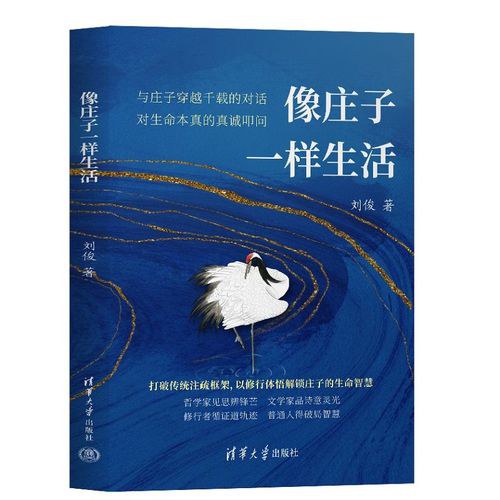 像庄子一样生活封面