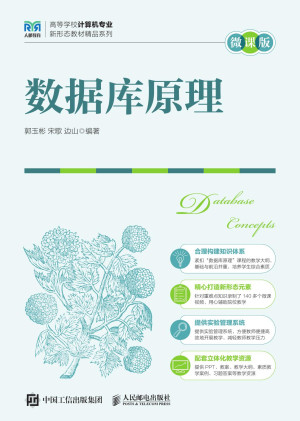 点击放大 数据库原理(微课版)封面