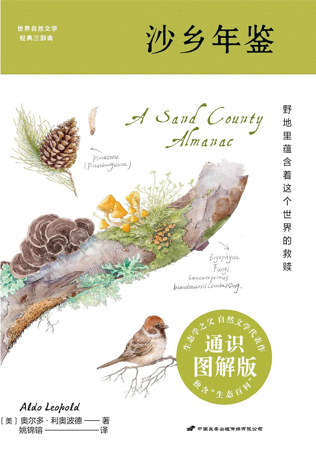 点击放大 沙乡年鉴(通识图解版)封面
