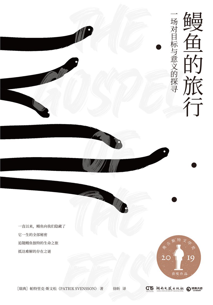 点击放大 鳗鱼的旅行:一场对目标与意义的探寻封面