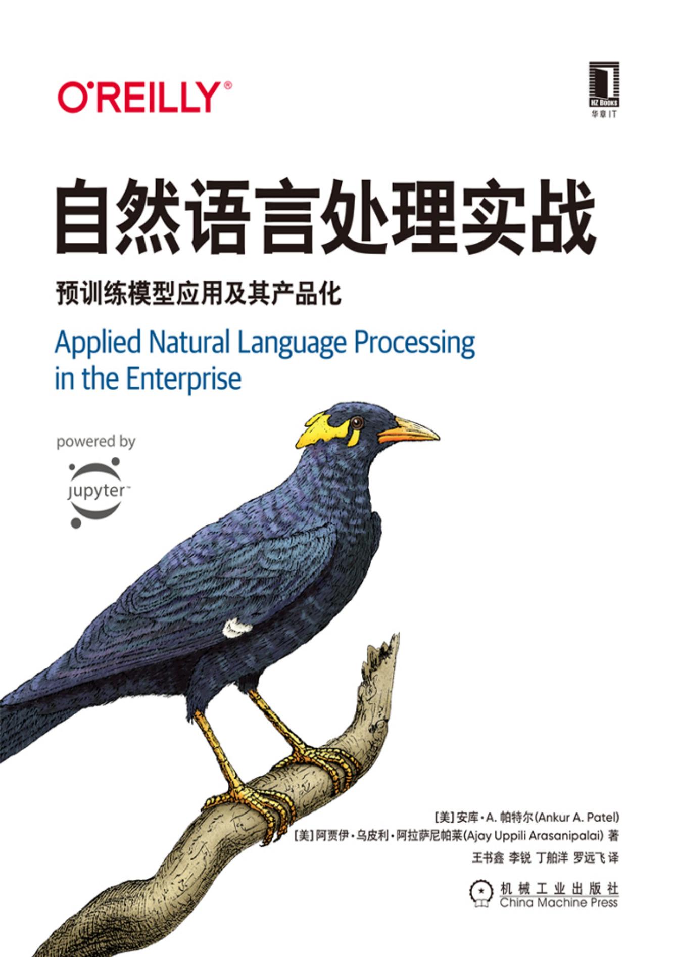 自然语言处理实战 : 预训练模型应用及其产品化
