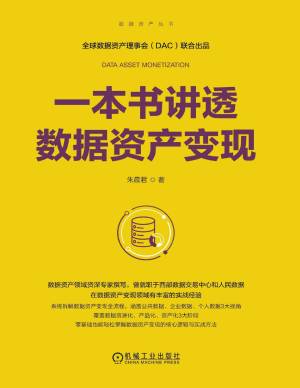 点击放大 一本书讲透数据资产变现封面