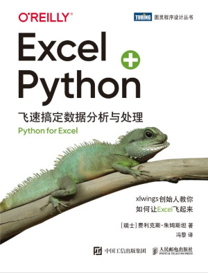 Excel Python：飞速搞定数据分析与处理封面