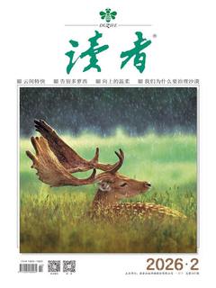 读者（持续更新）封面图