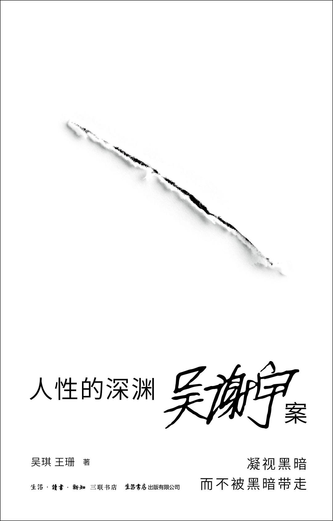 点击放大 人性的深渊:吴谢宇案封面