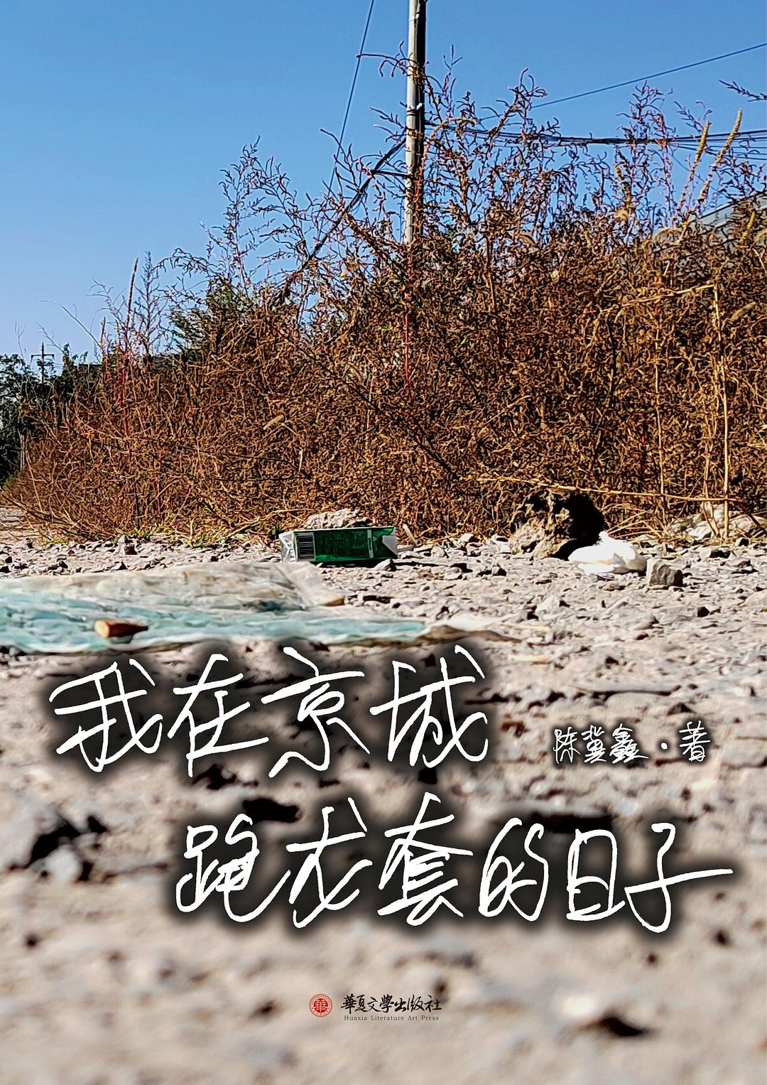 点击放大 我在京城跑龙套的日子封面