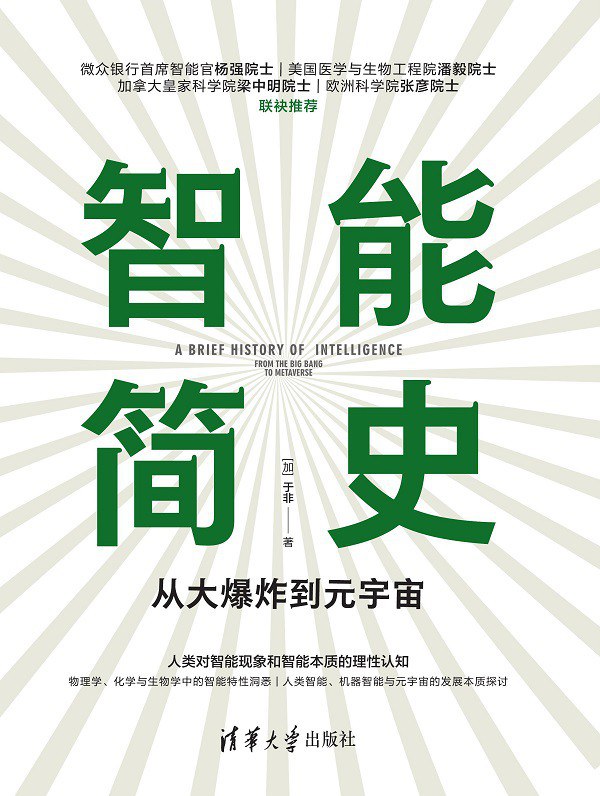 点击放大 智能简史:从大爆炸到元宇宙封面