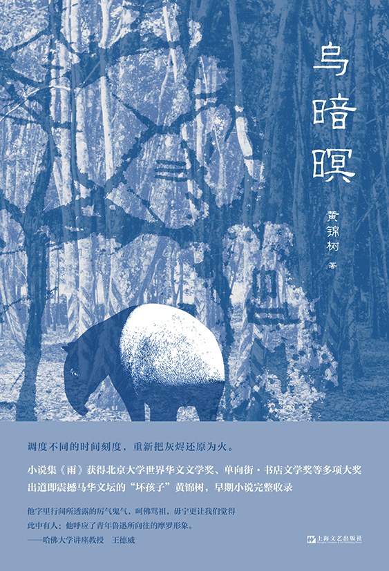 点击放大 乌暗暝封面