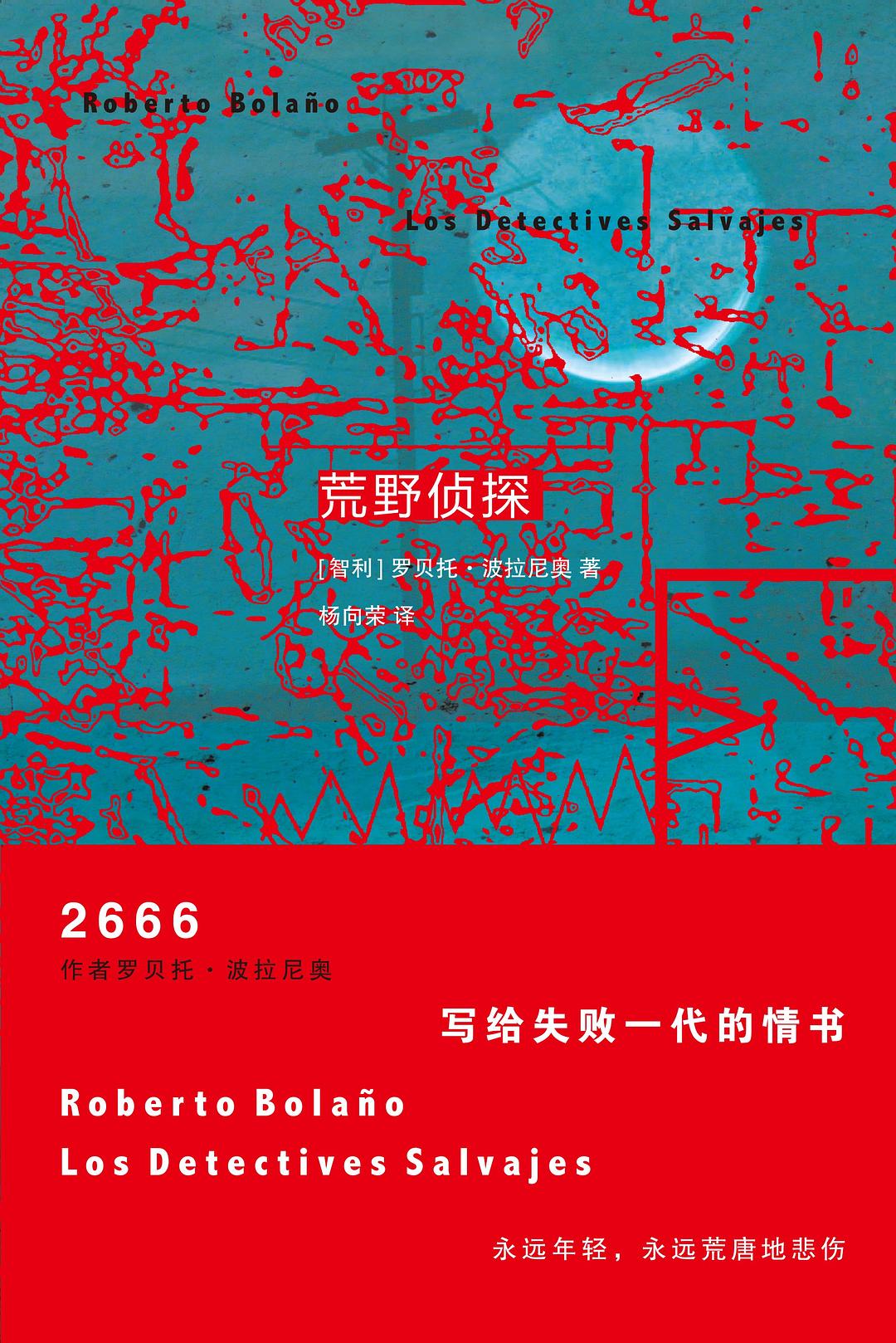 点击放大 荒野侦探封面