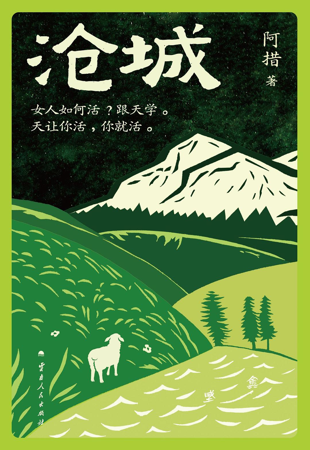 沧城封面