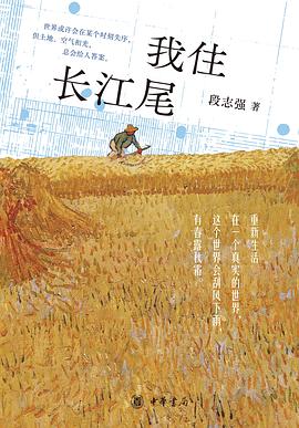 我住长江尾封面